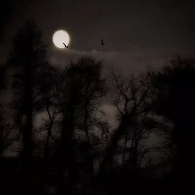 Tanginamoohah