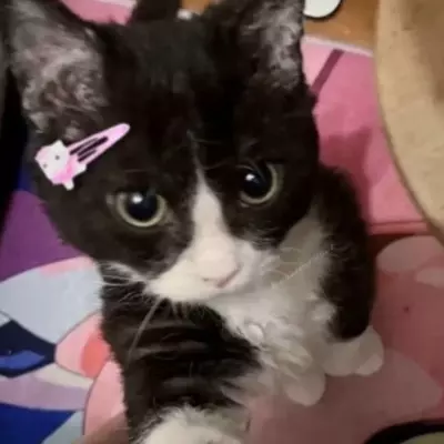 Julie