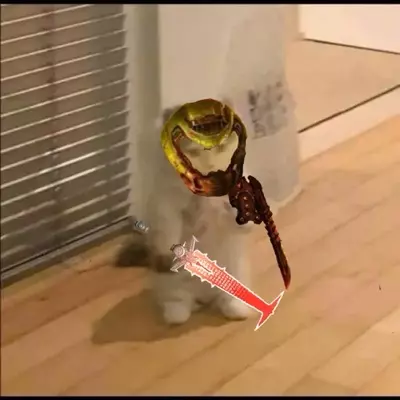 itoocouldbeninja