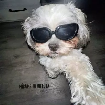 Mônica