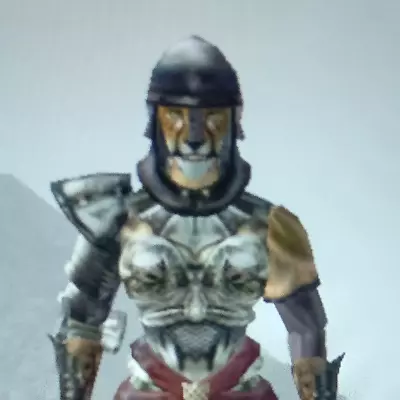 A_random_Khajiit