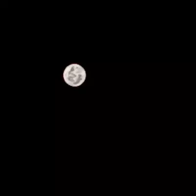 Ale