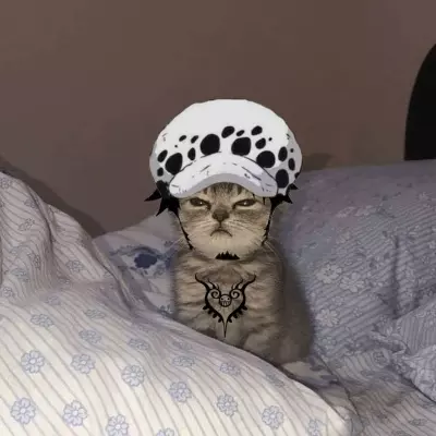 Paulo