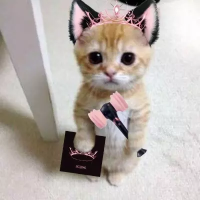Emy 