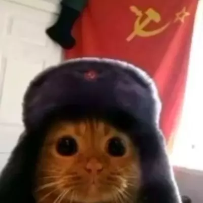 🇷🇺☭SovietCat☭🇷🇺
