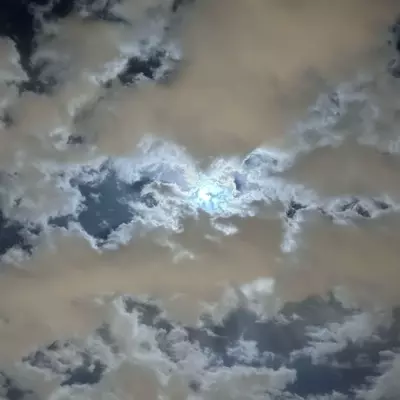 عبدالعزيز 