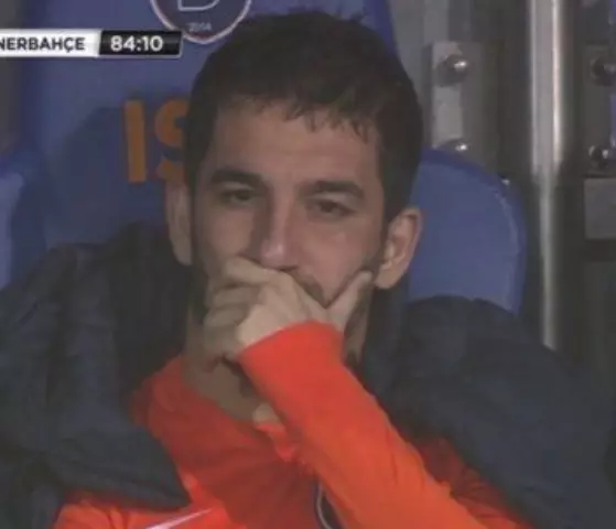 Nestly 