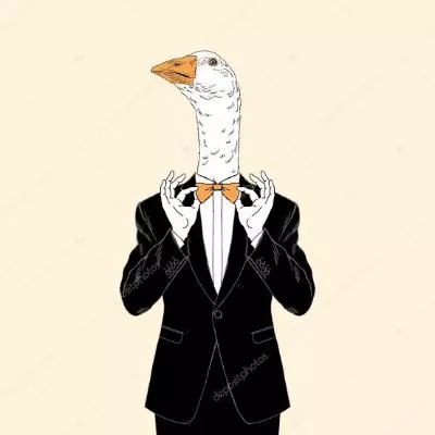 EmperorOfGeese