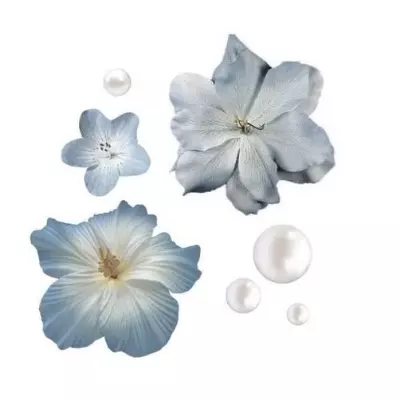 colette