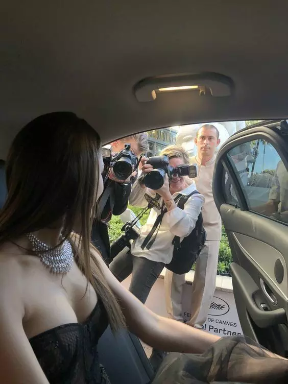 Paparazzi and fans  thumbnail
