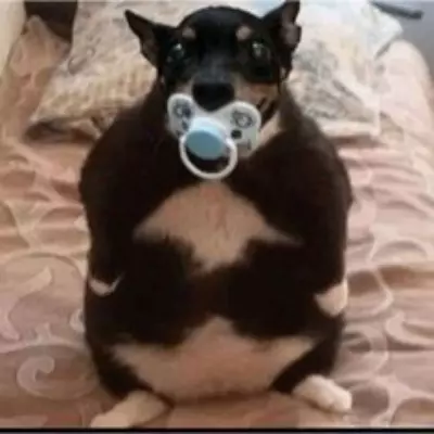 Mochi