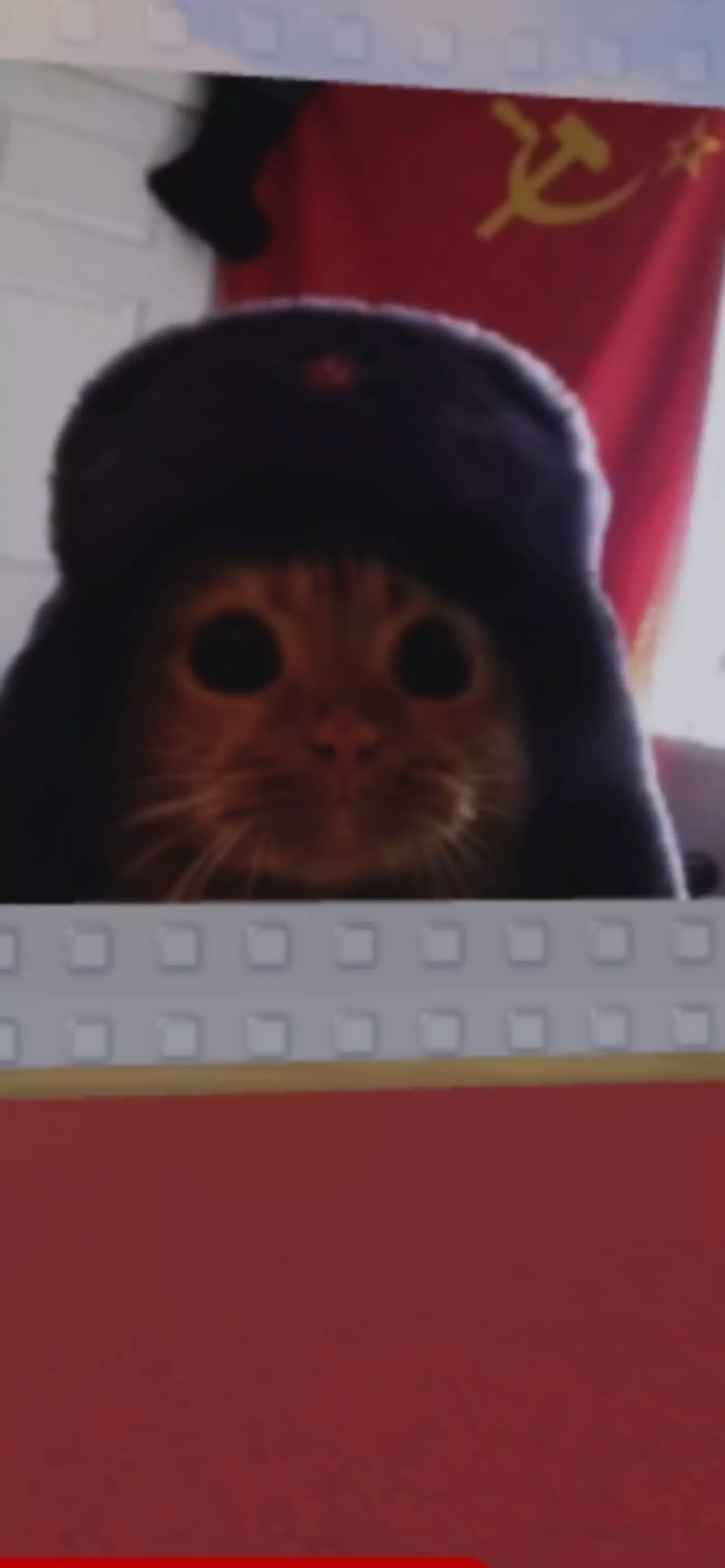 Чел