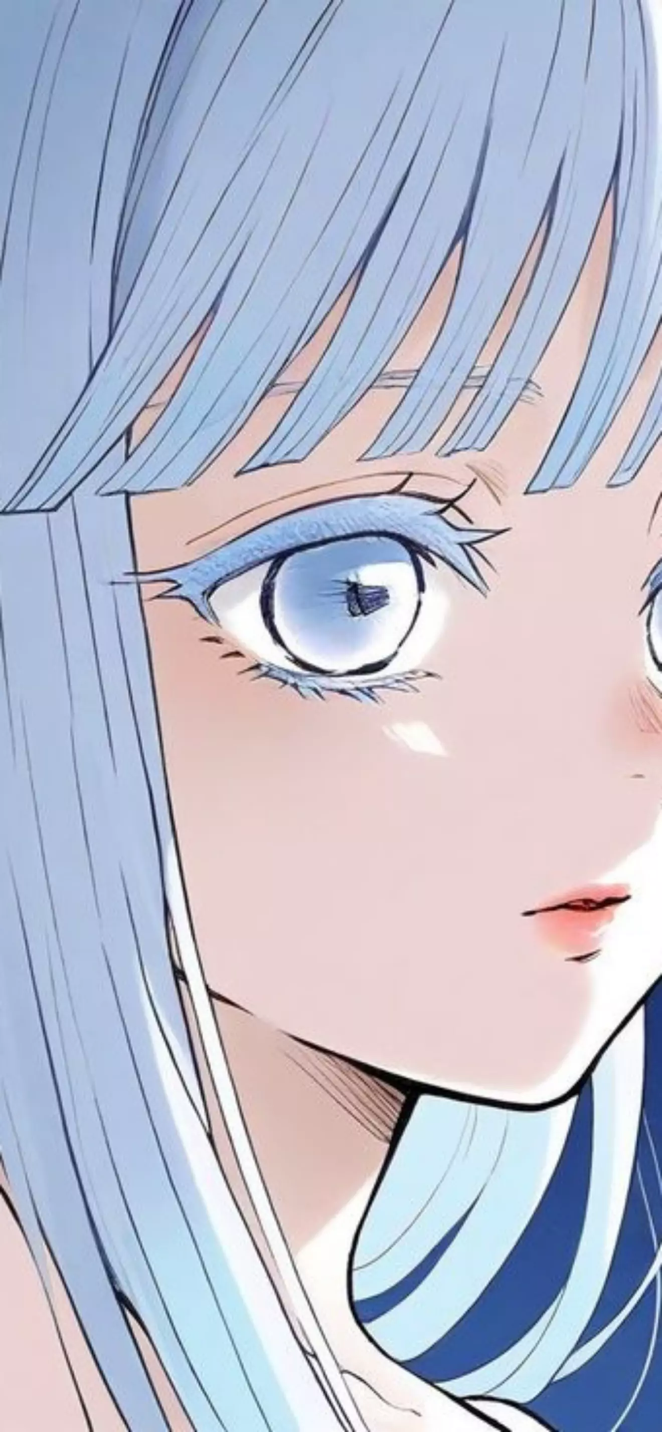 Lily 