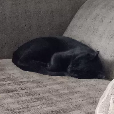 Bonnie 