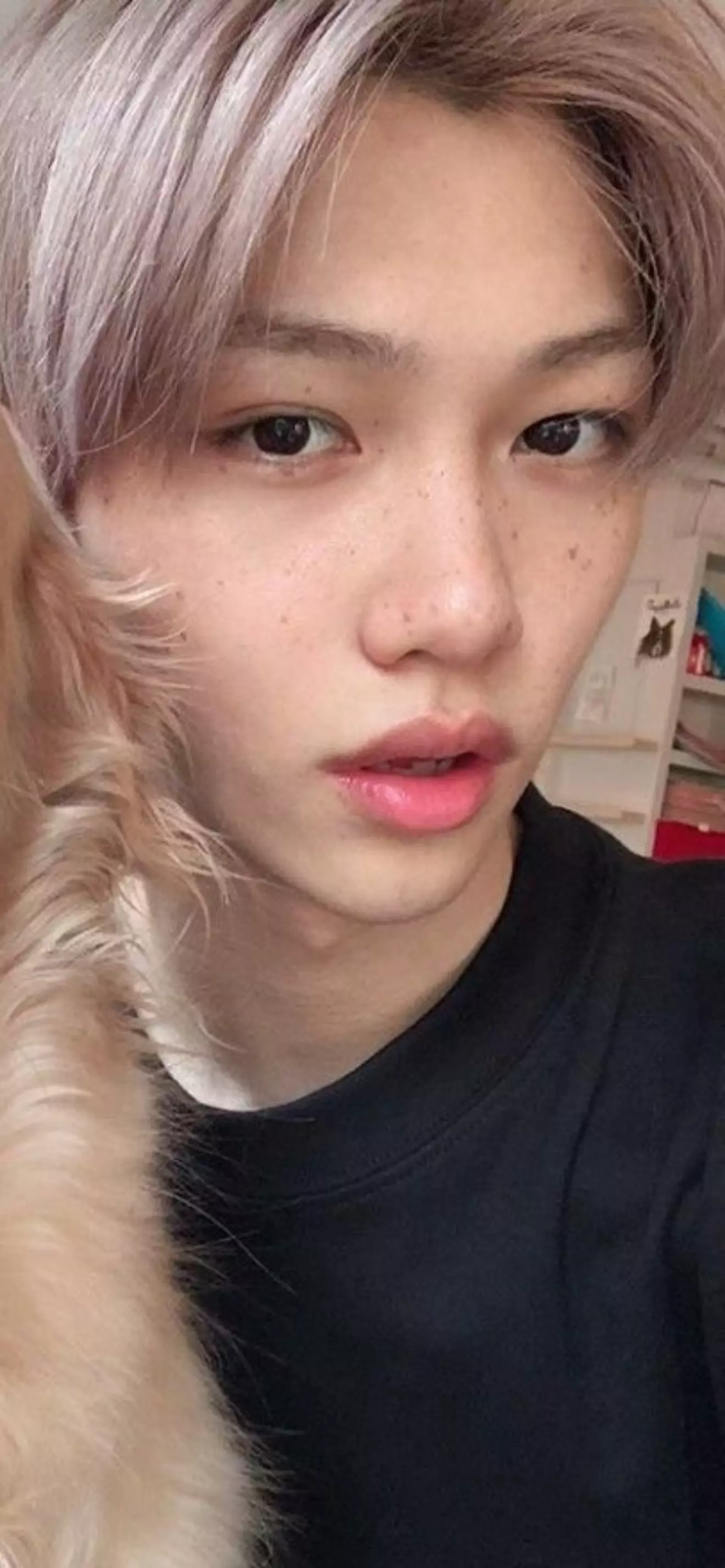 Felix