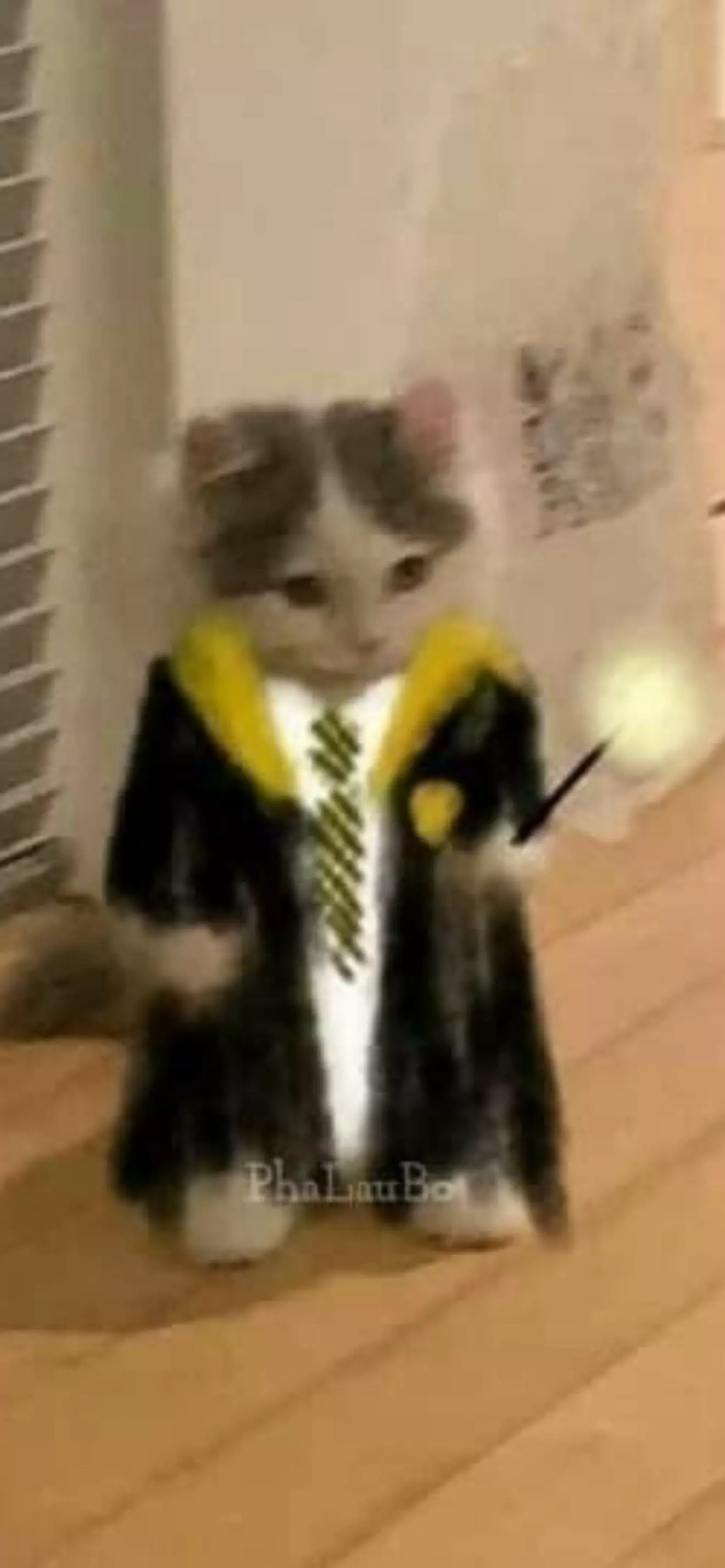 Lun