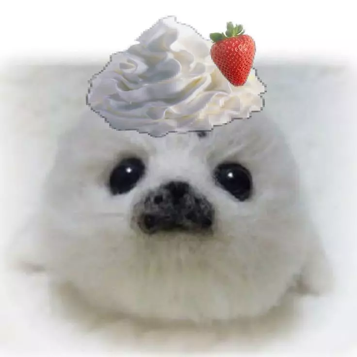 Sam