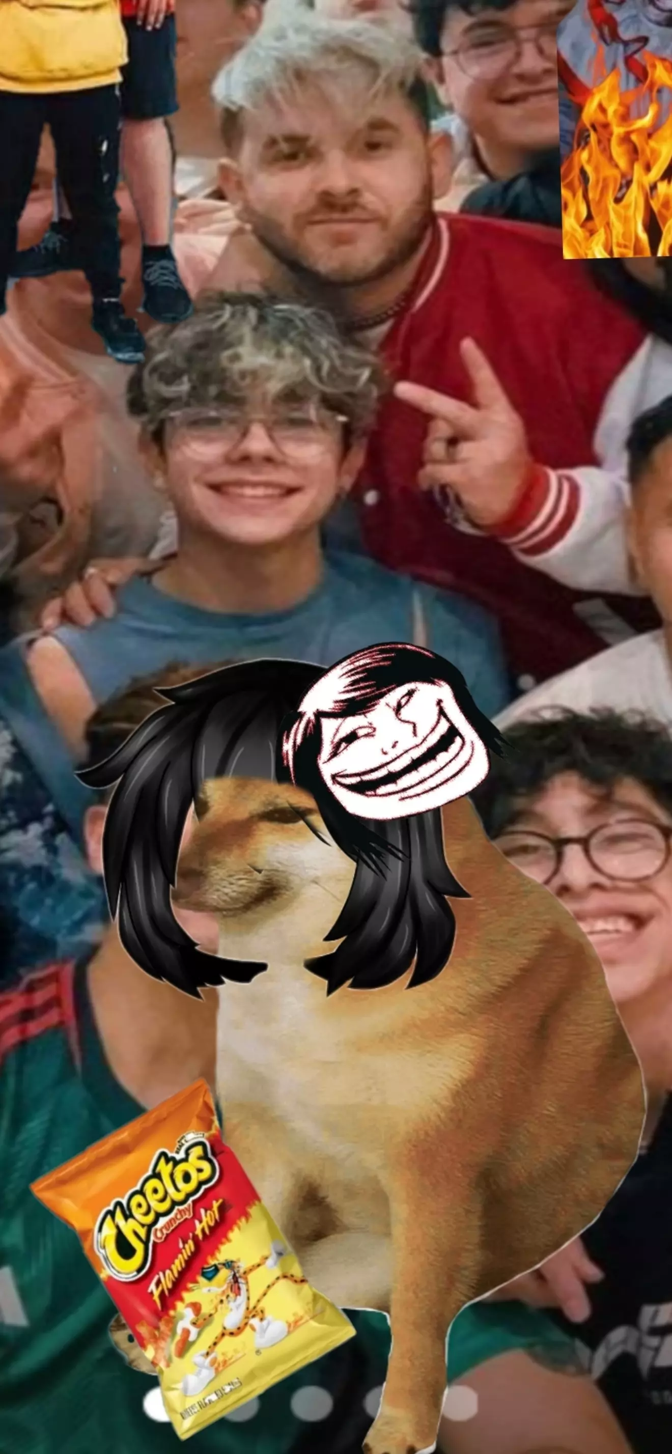 Chemsita