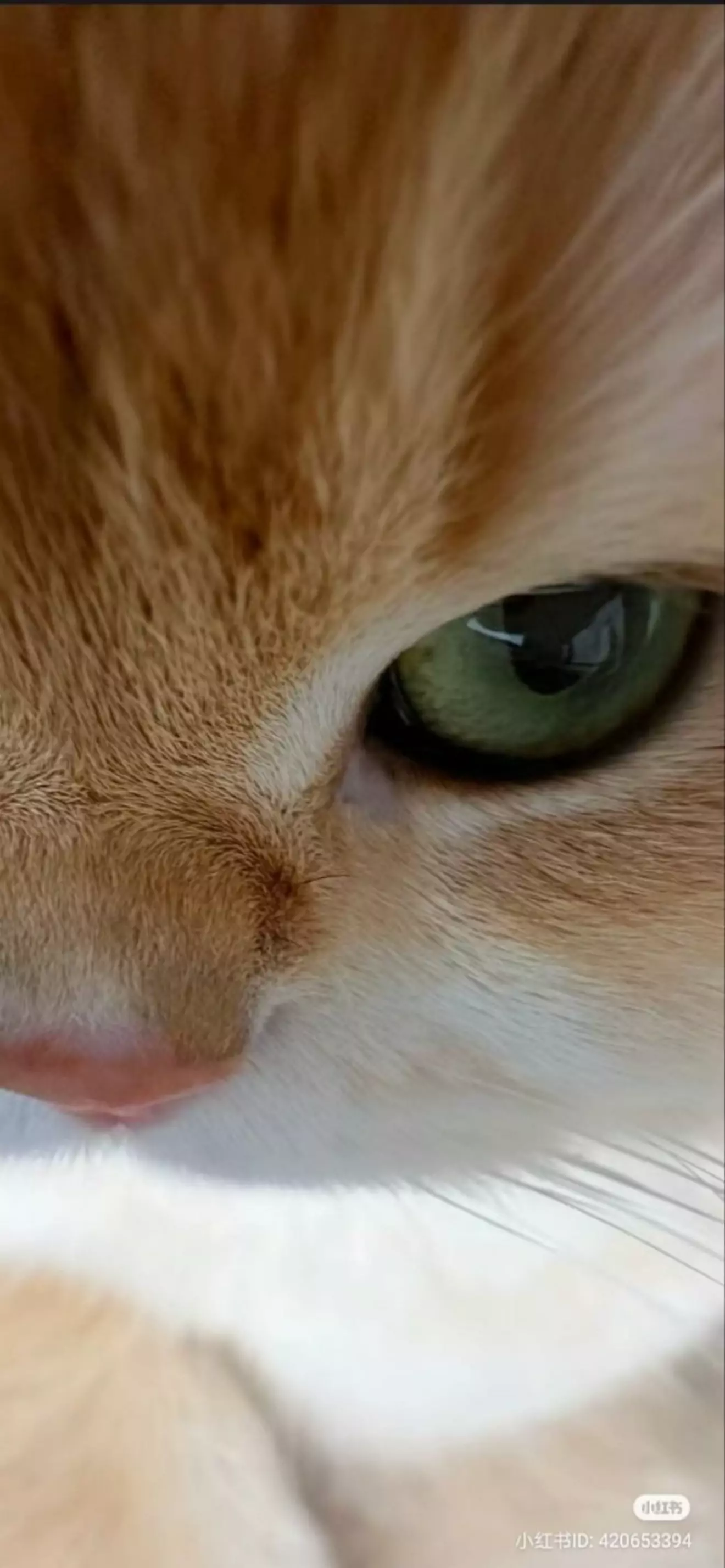 Nick