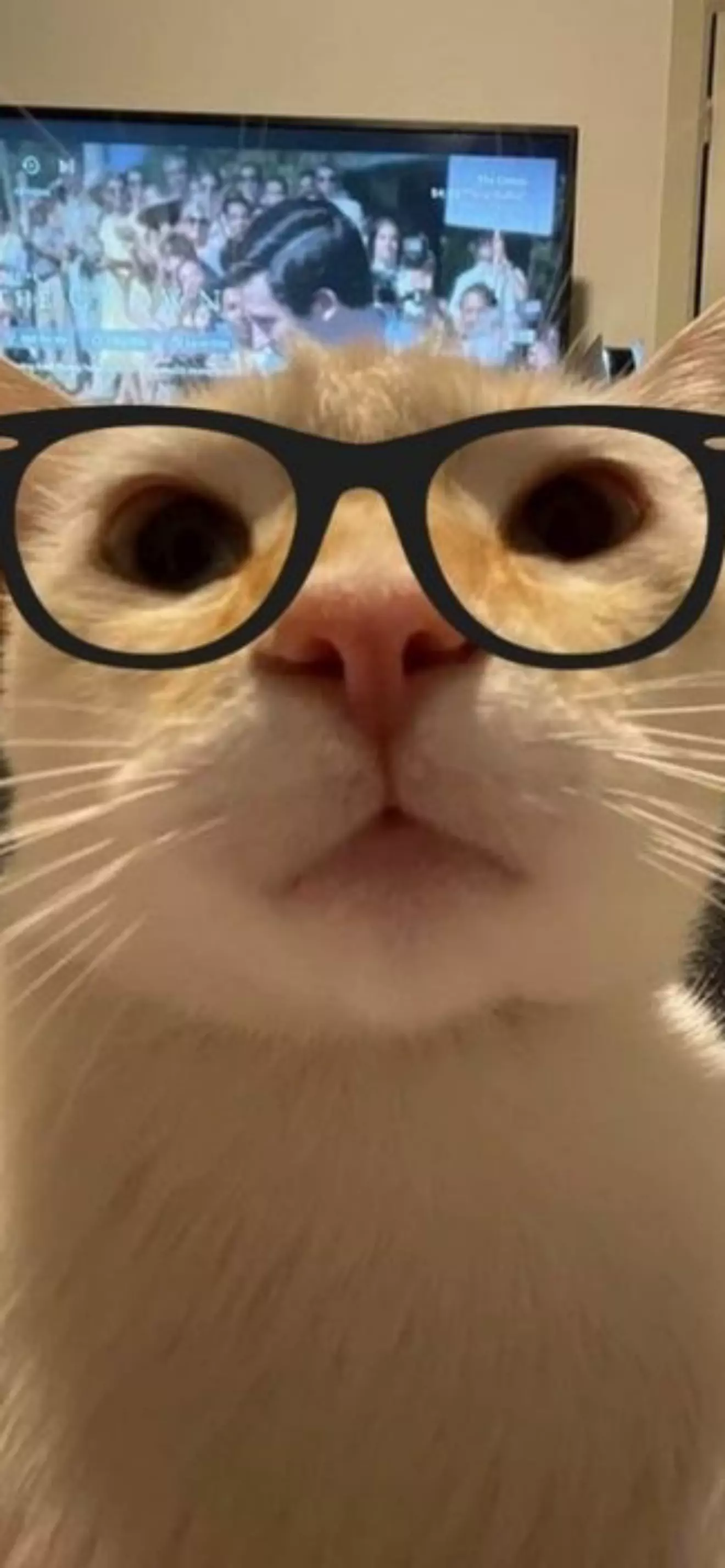 (^_-)