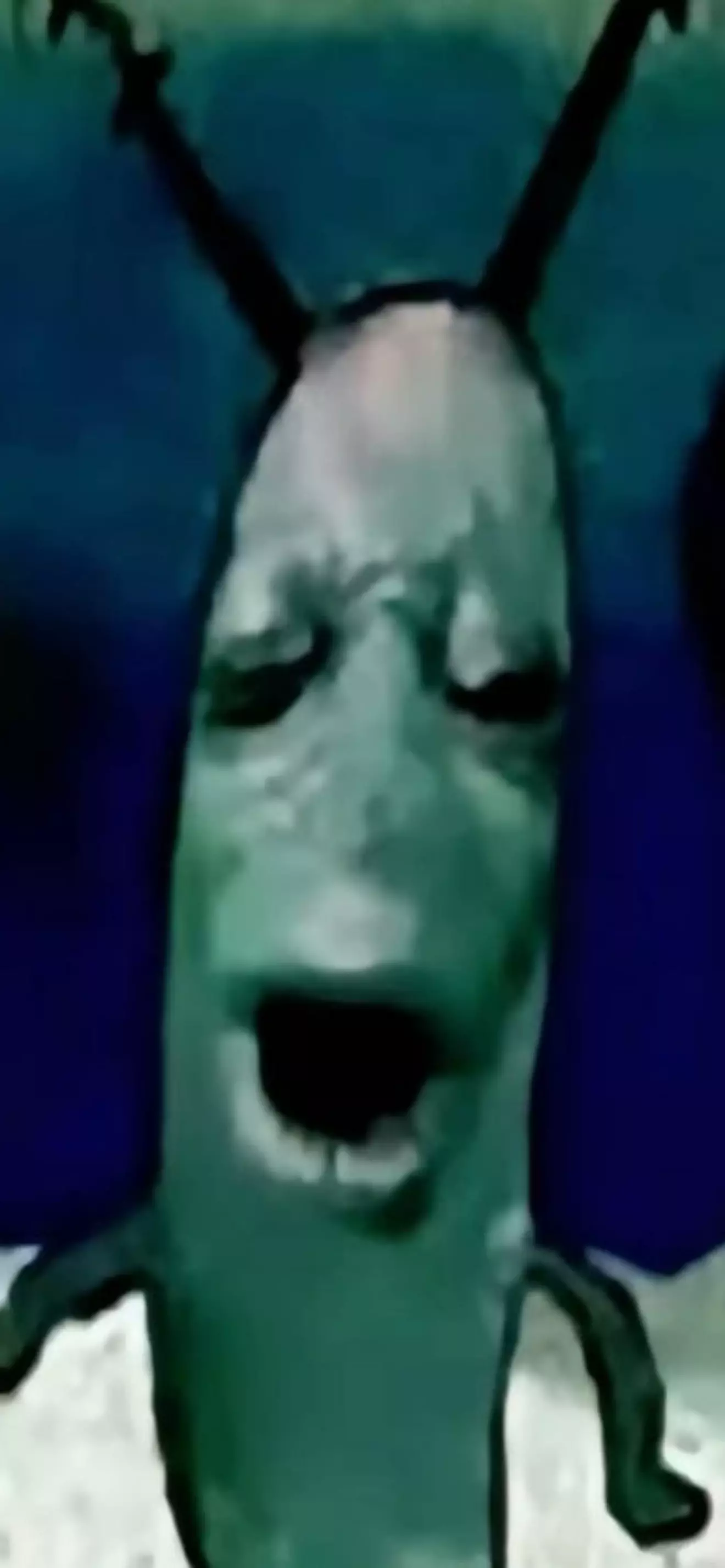 Plankton 
