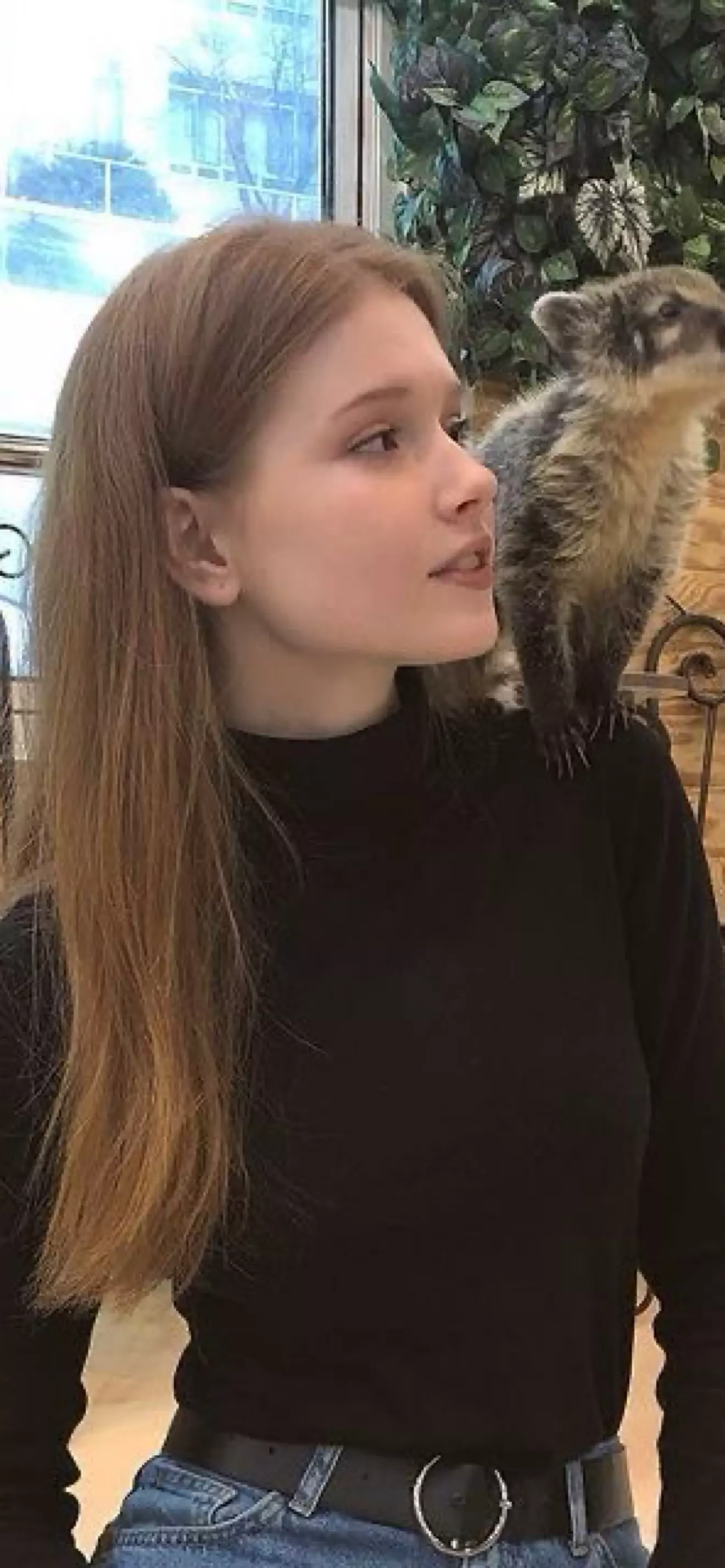 Violet 