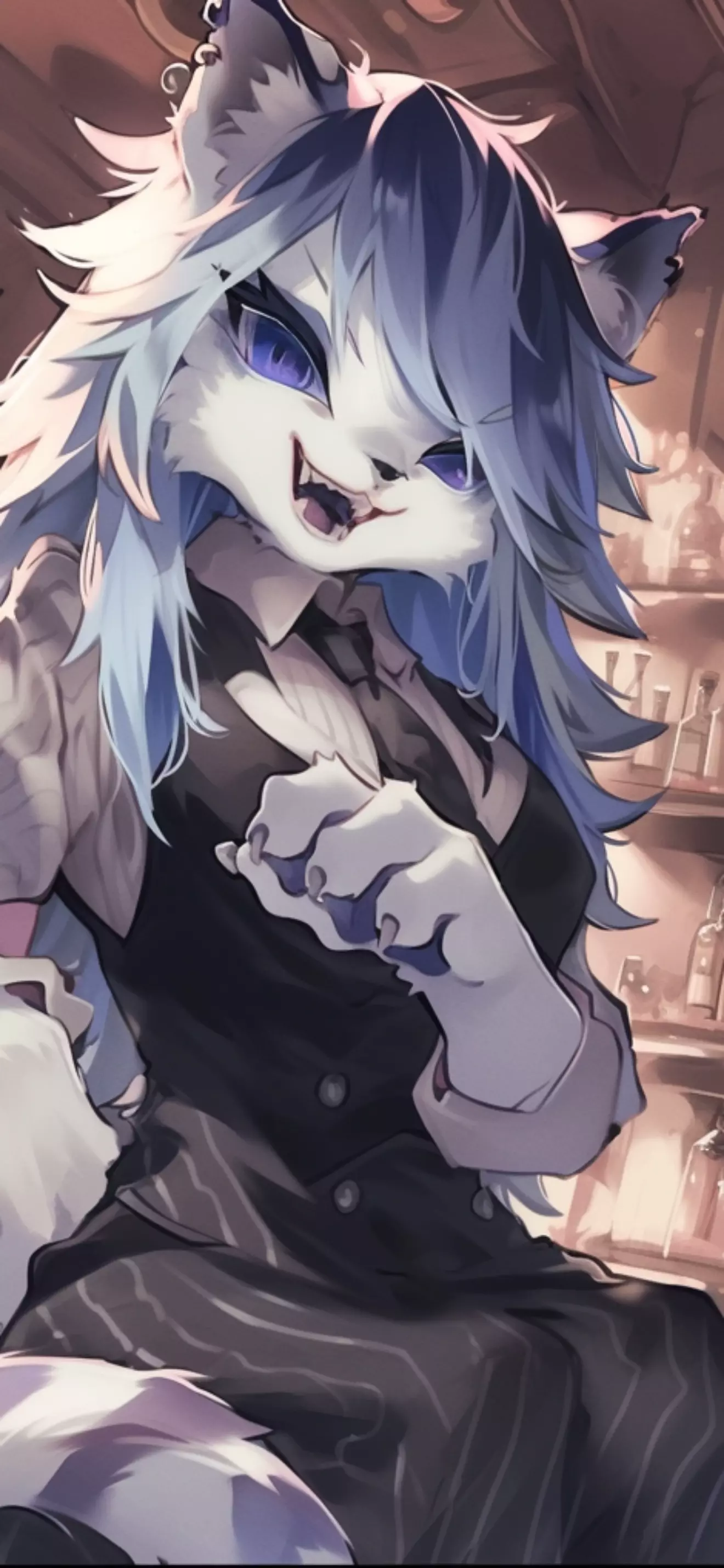 Komi the cat
