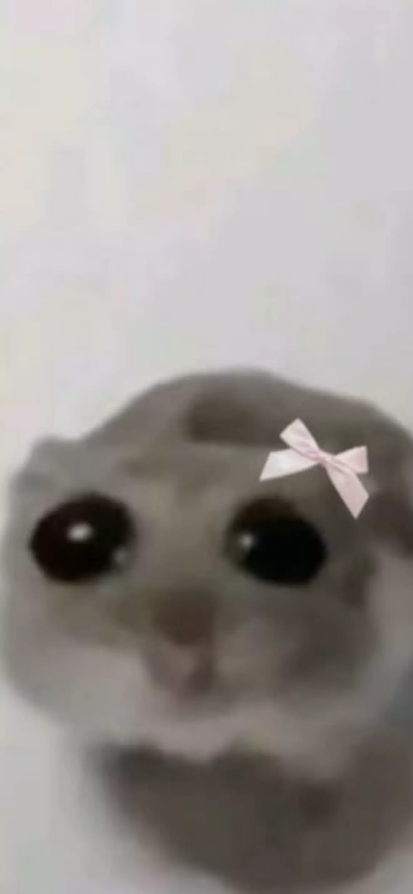 Kaah