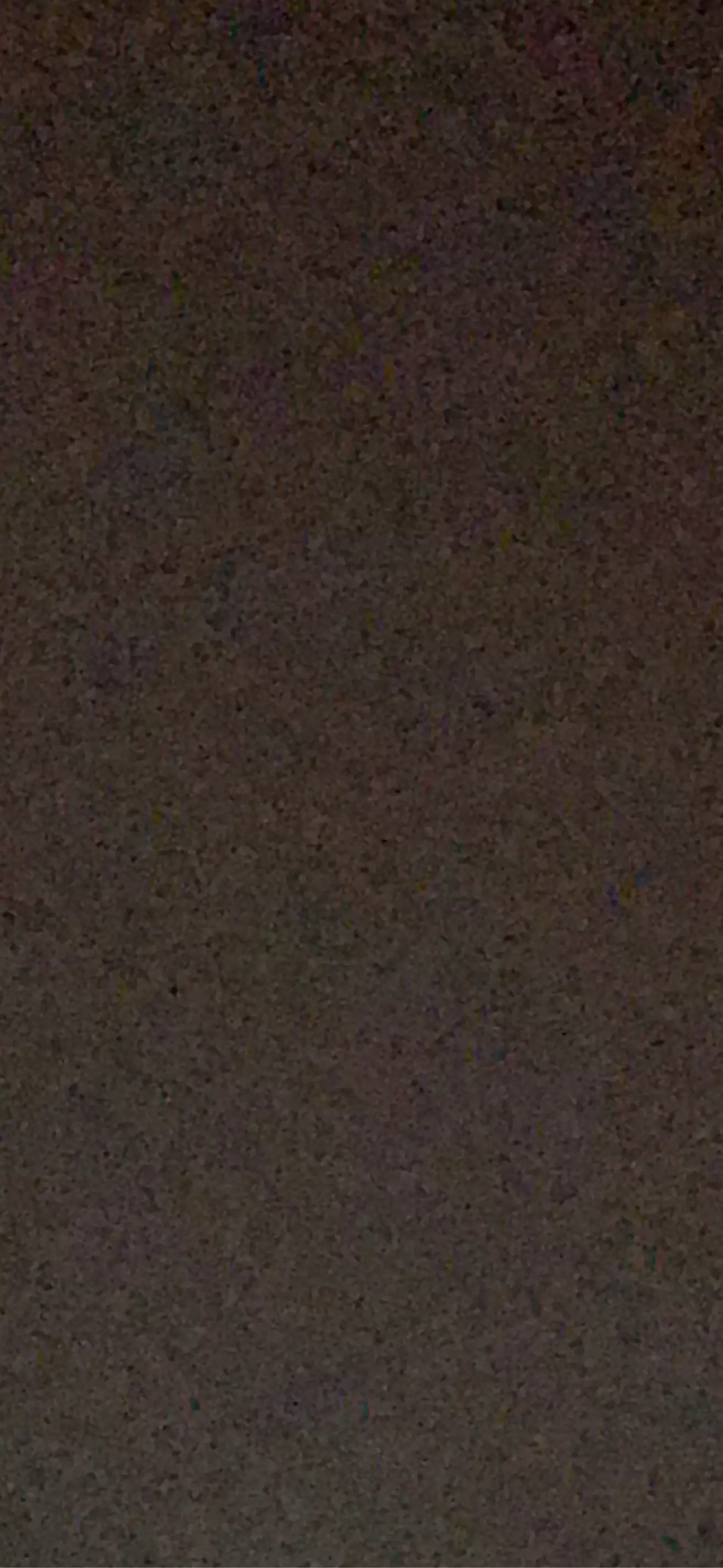 wweeetr2