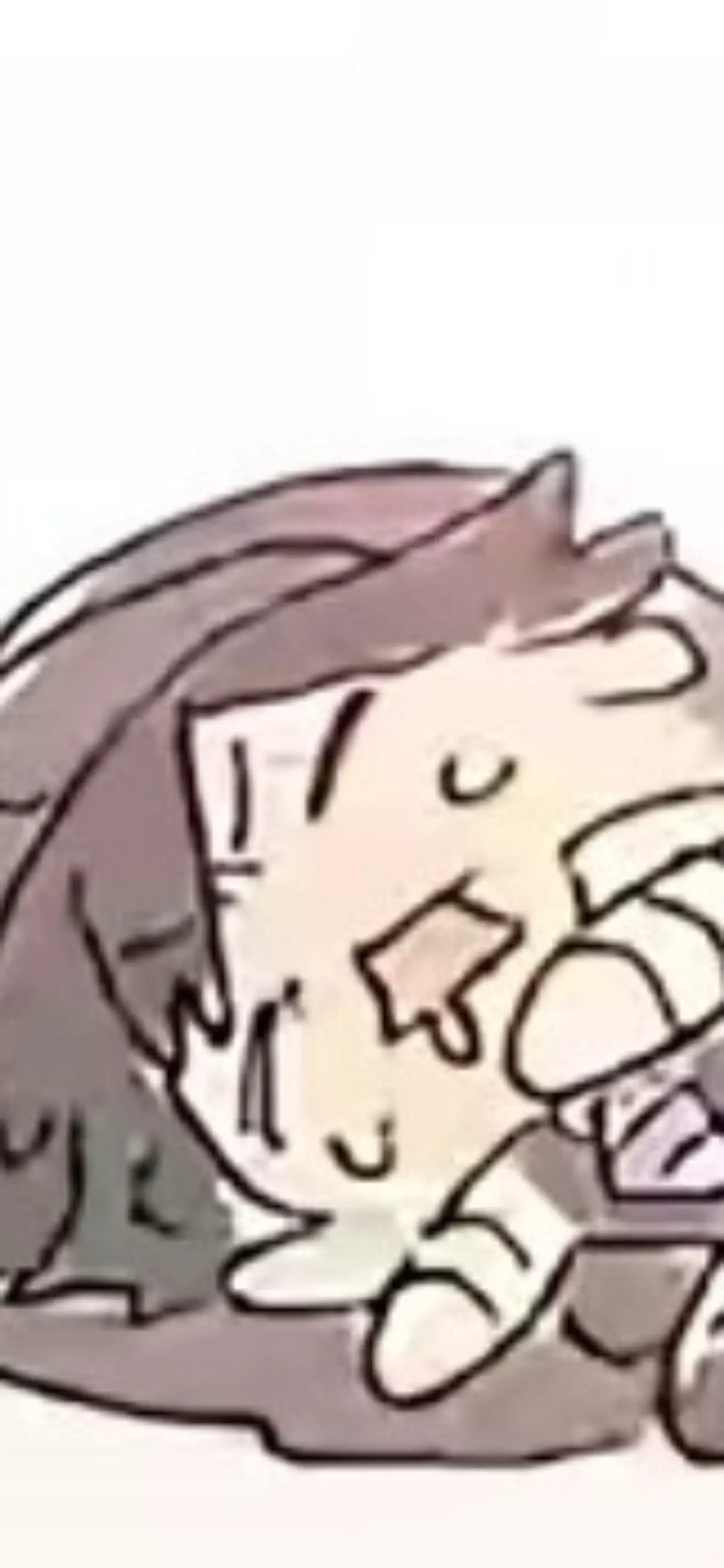((user))