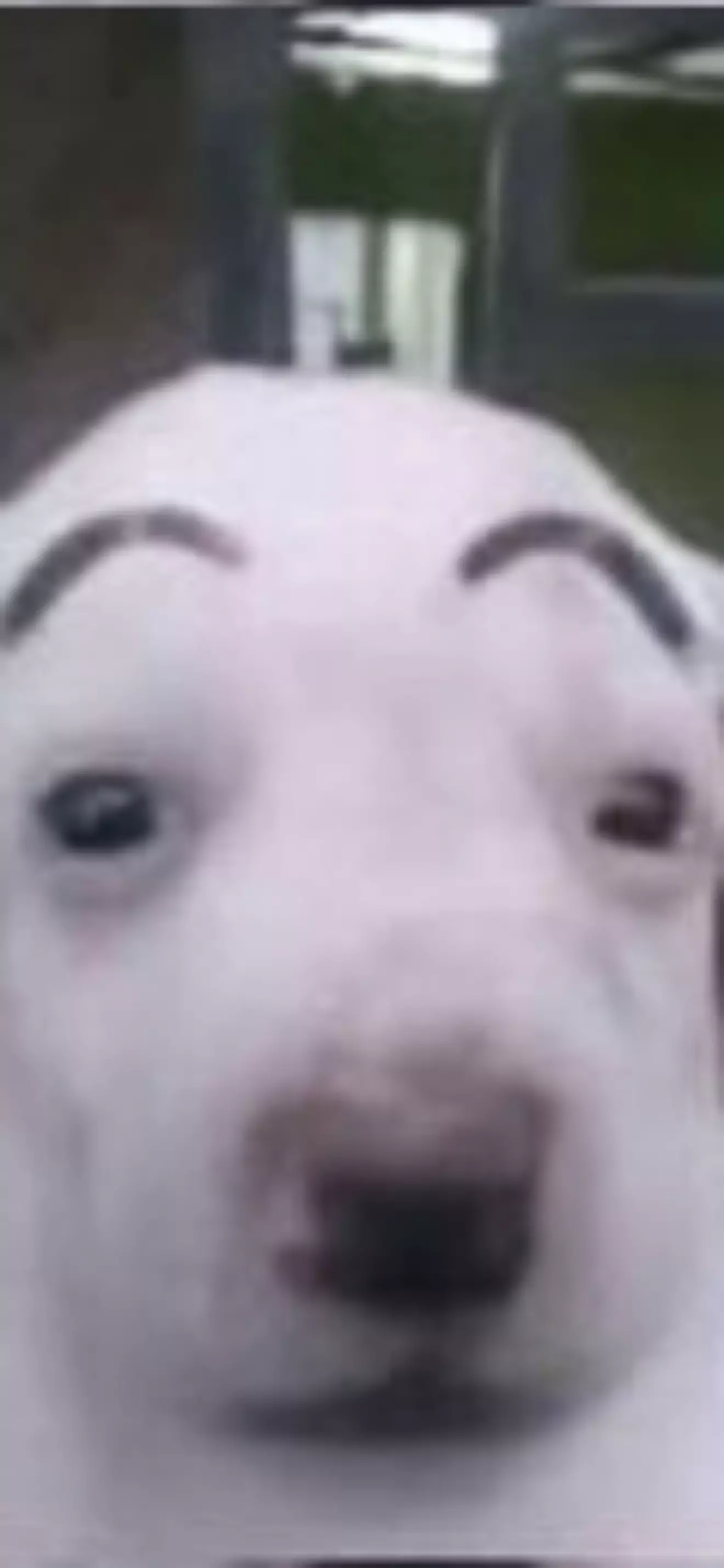 Emilio