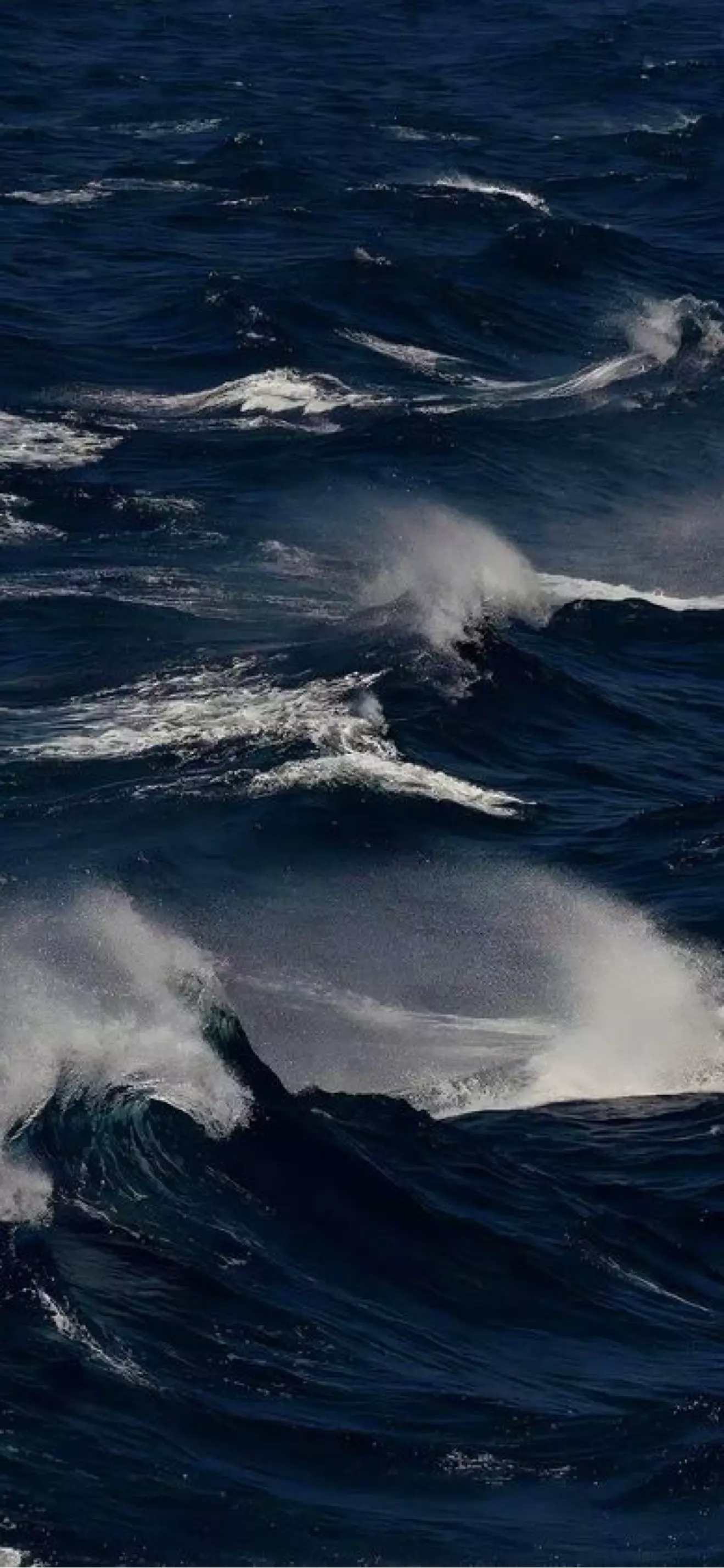 Deniz 