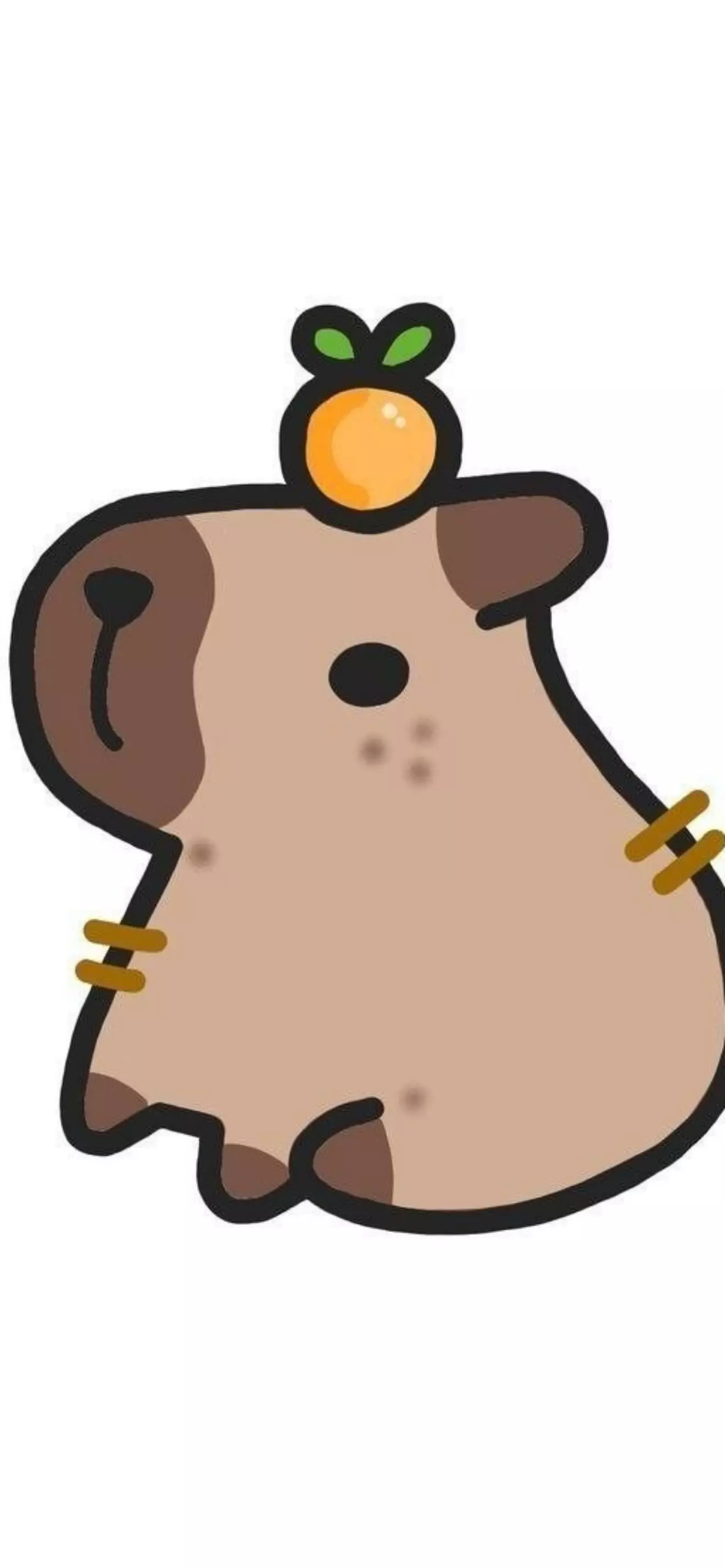 Kaira
