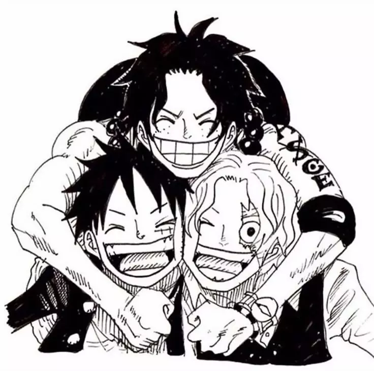 Ace, Sabo e Luffy thumbnail