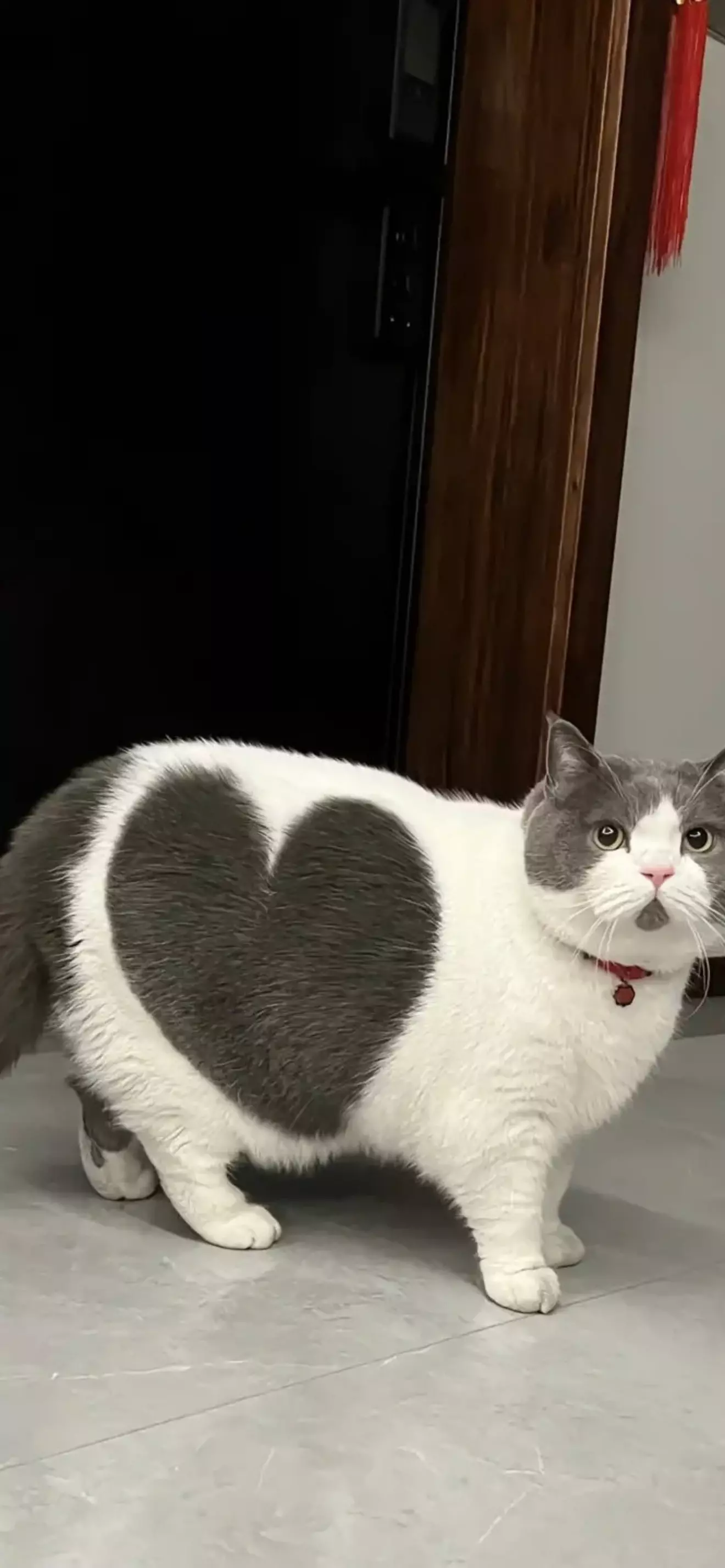 Kira