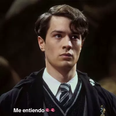 Chat with Tom Marvolo Riddle - Enjoy Free AI Character Roleplay ...