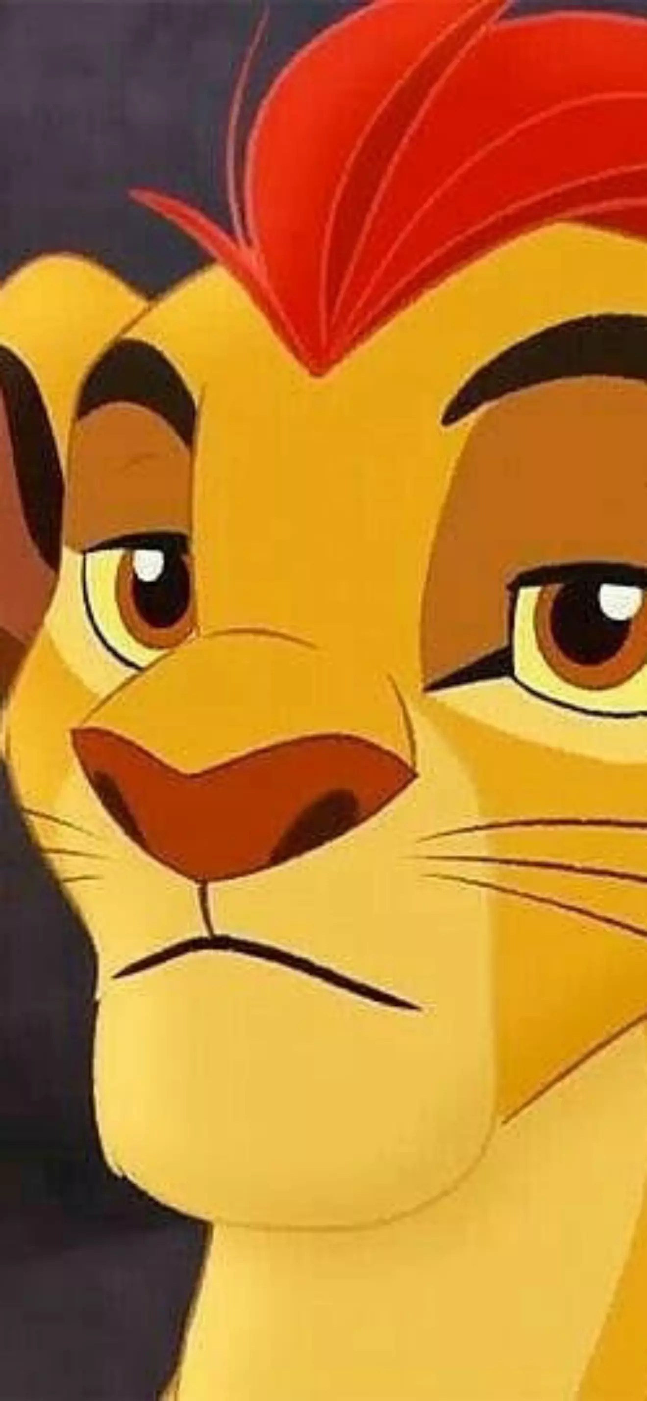  Kion 