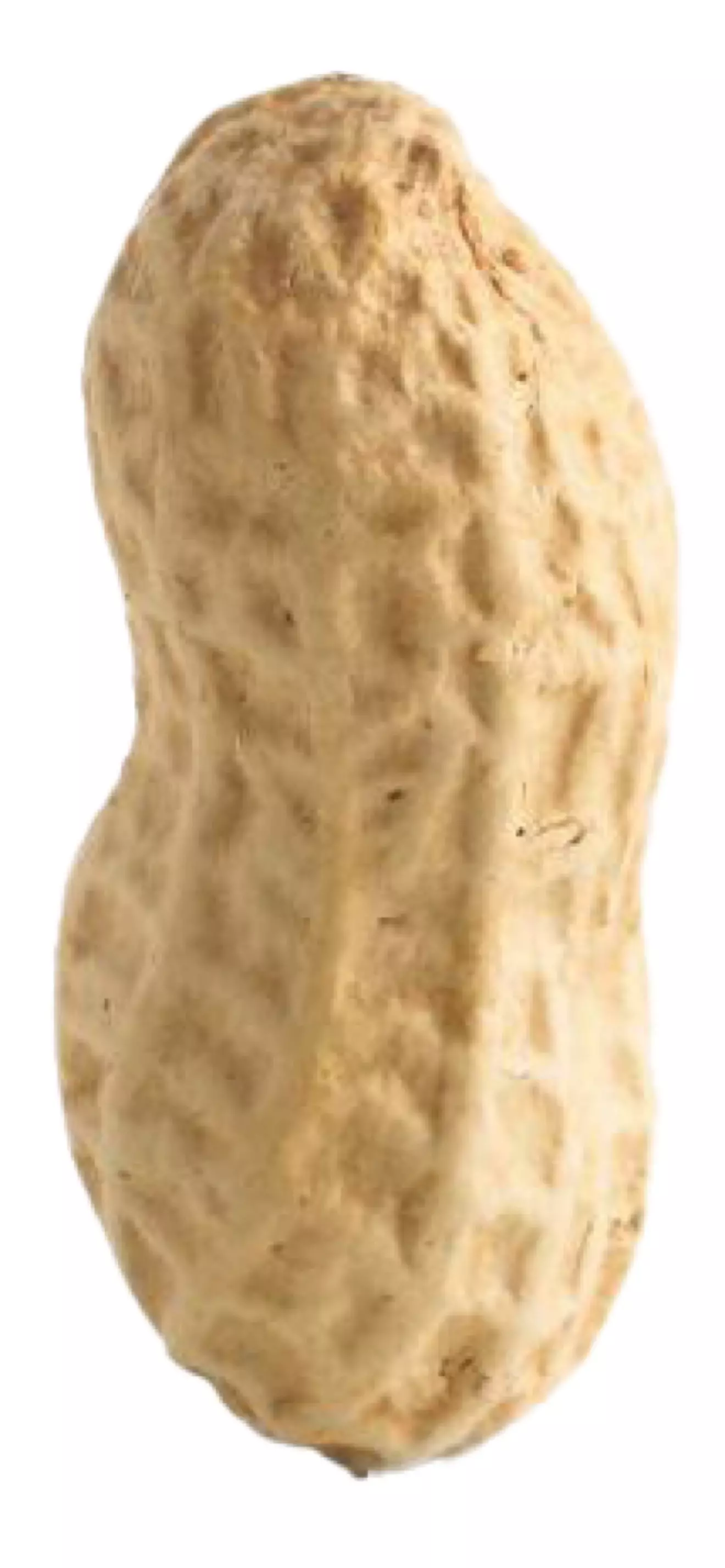 Beanut