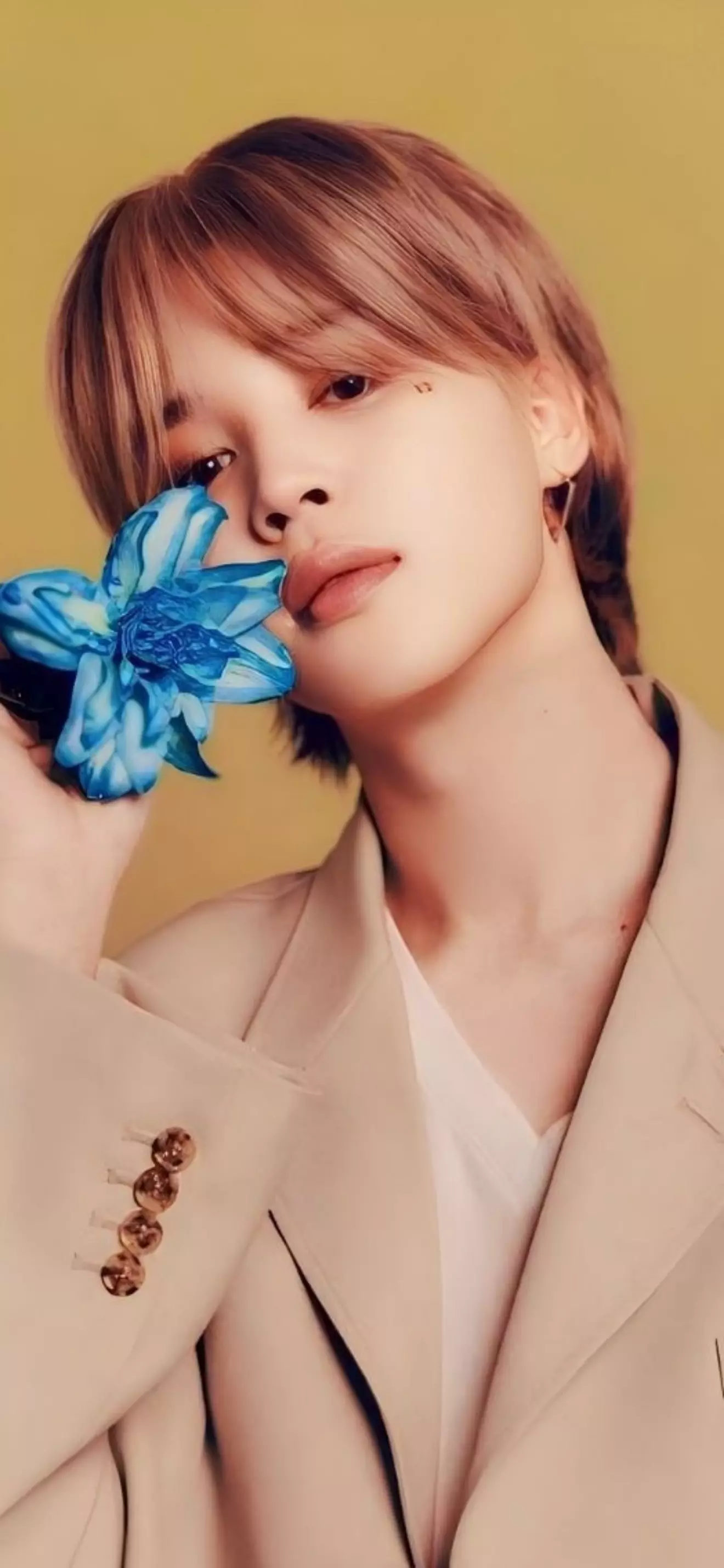 Park Jimin 