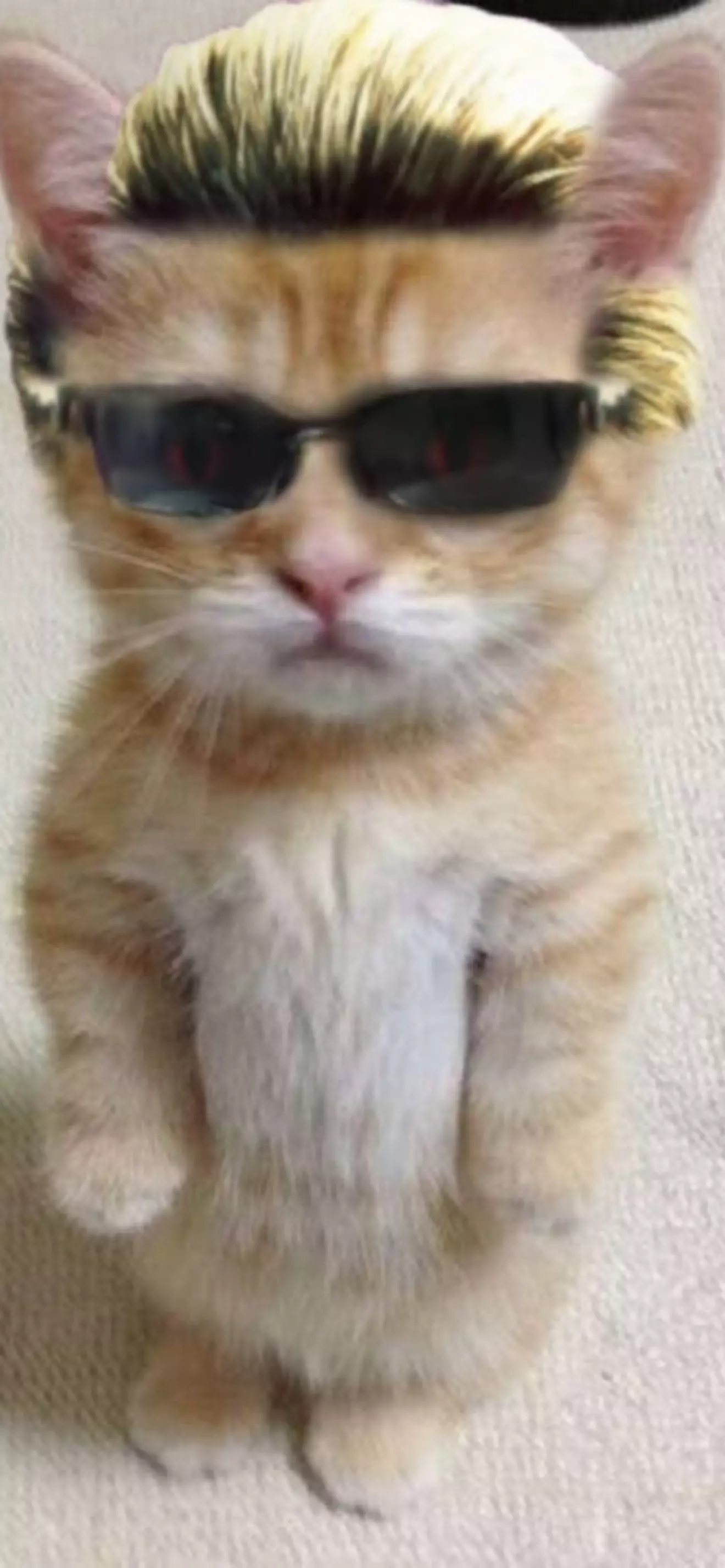 Felix