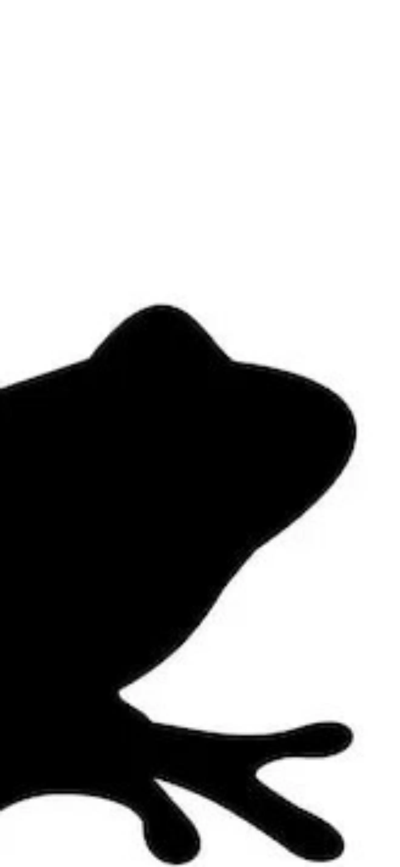 Black frog