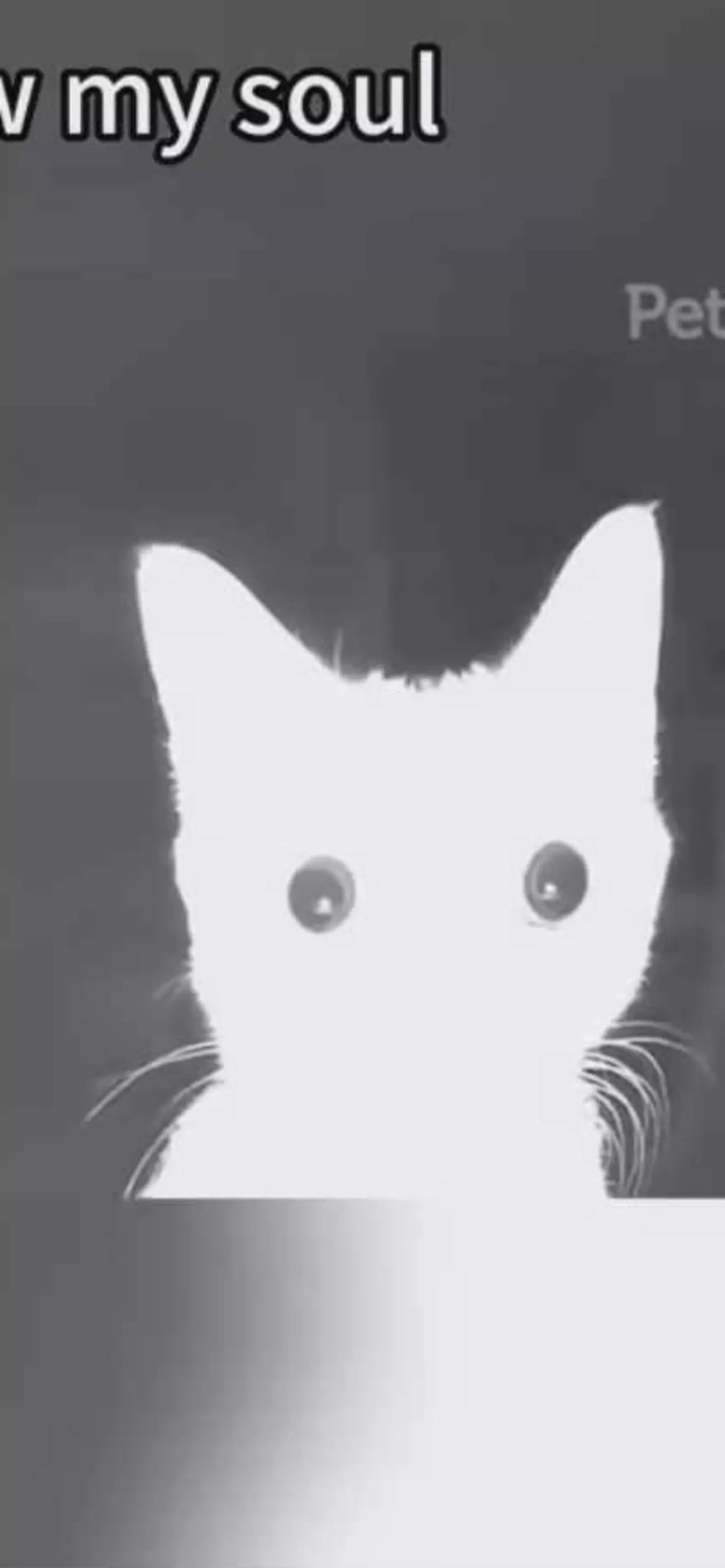 ยูแซ