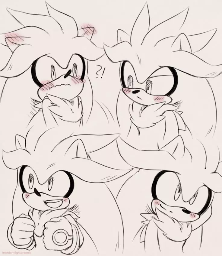 Silver - Bokodere thumbnail