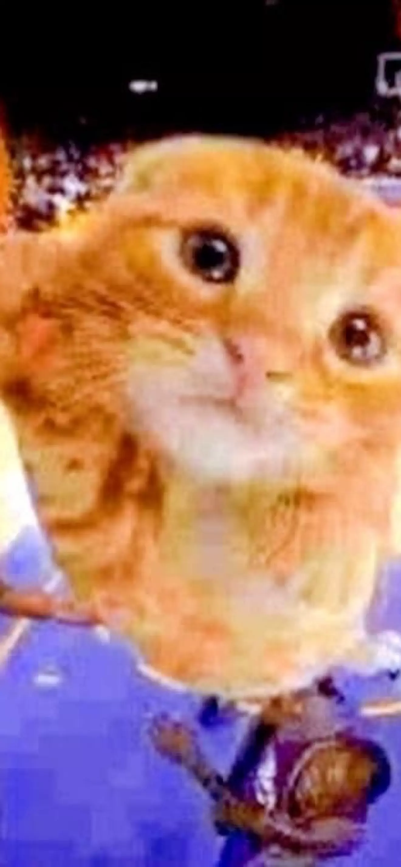 p_alfu