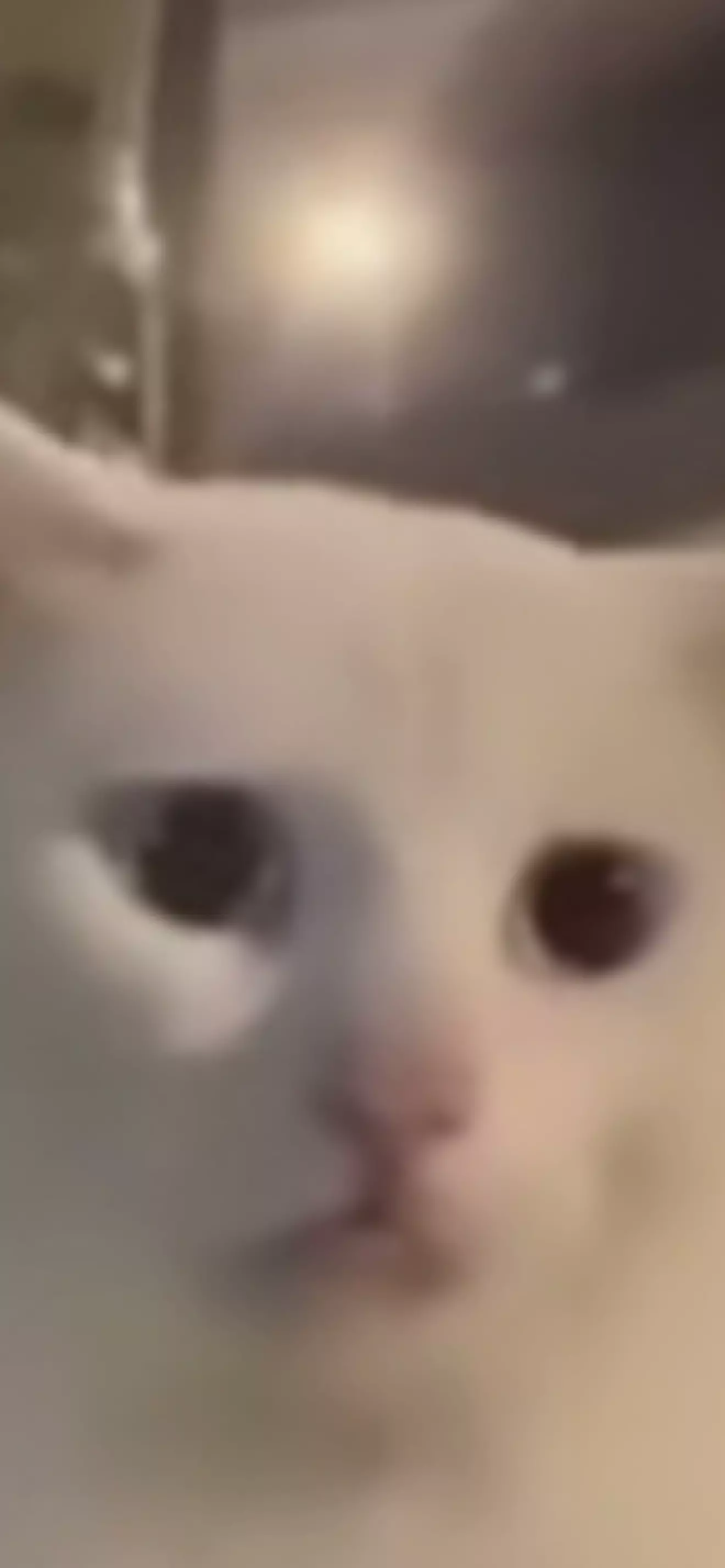  Qui 