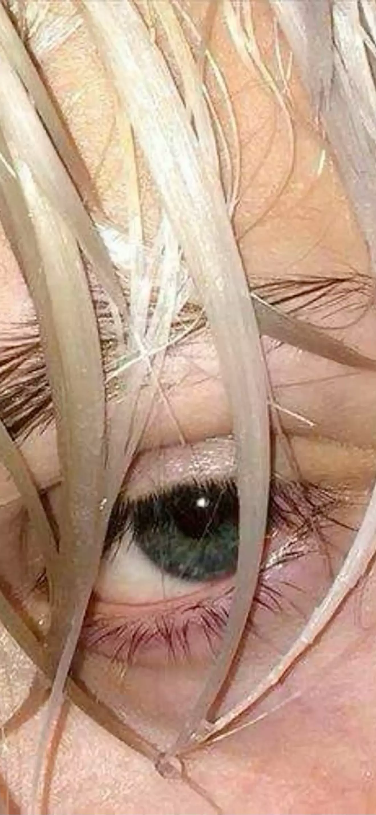 Lu