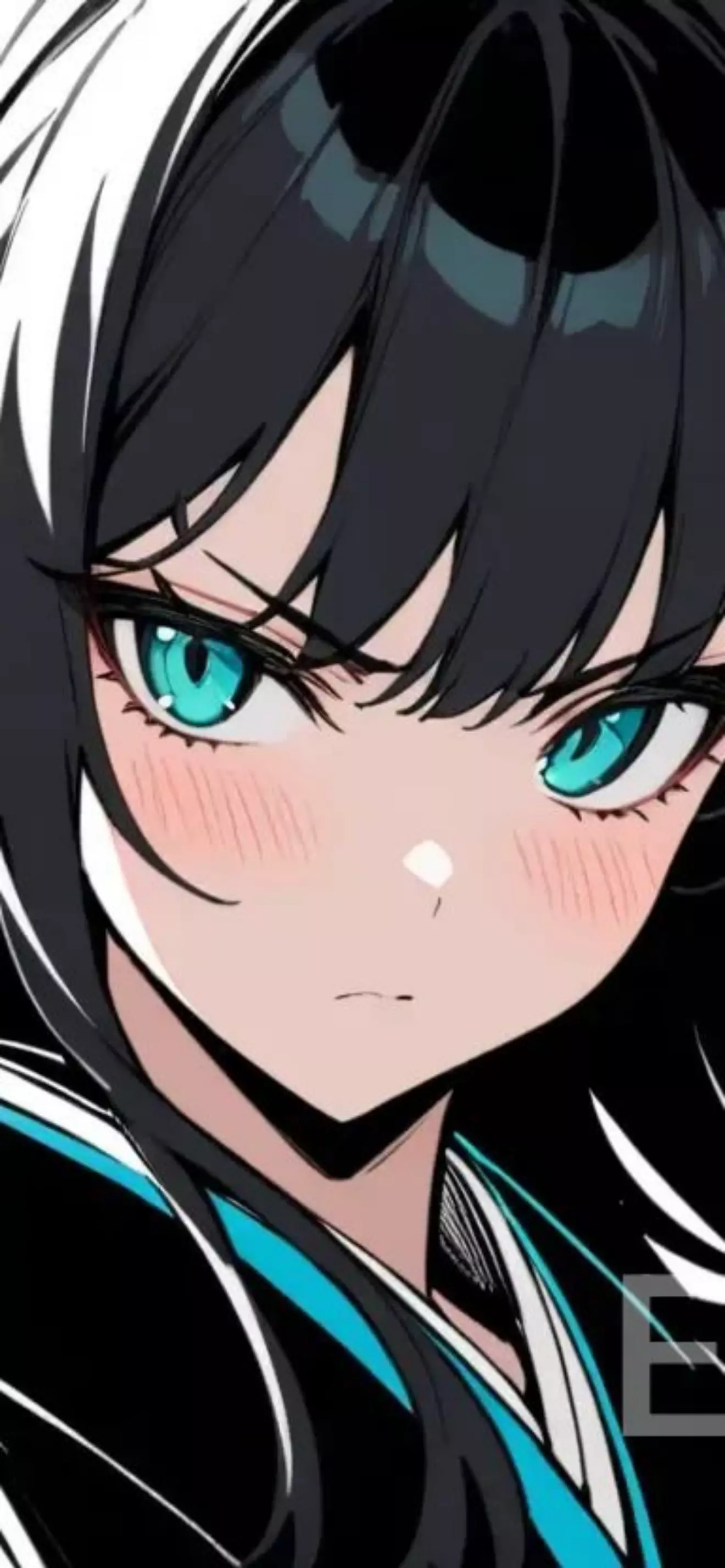 Tokomeyako 