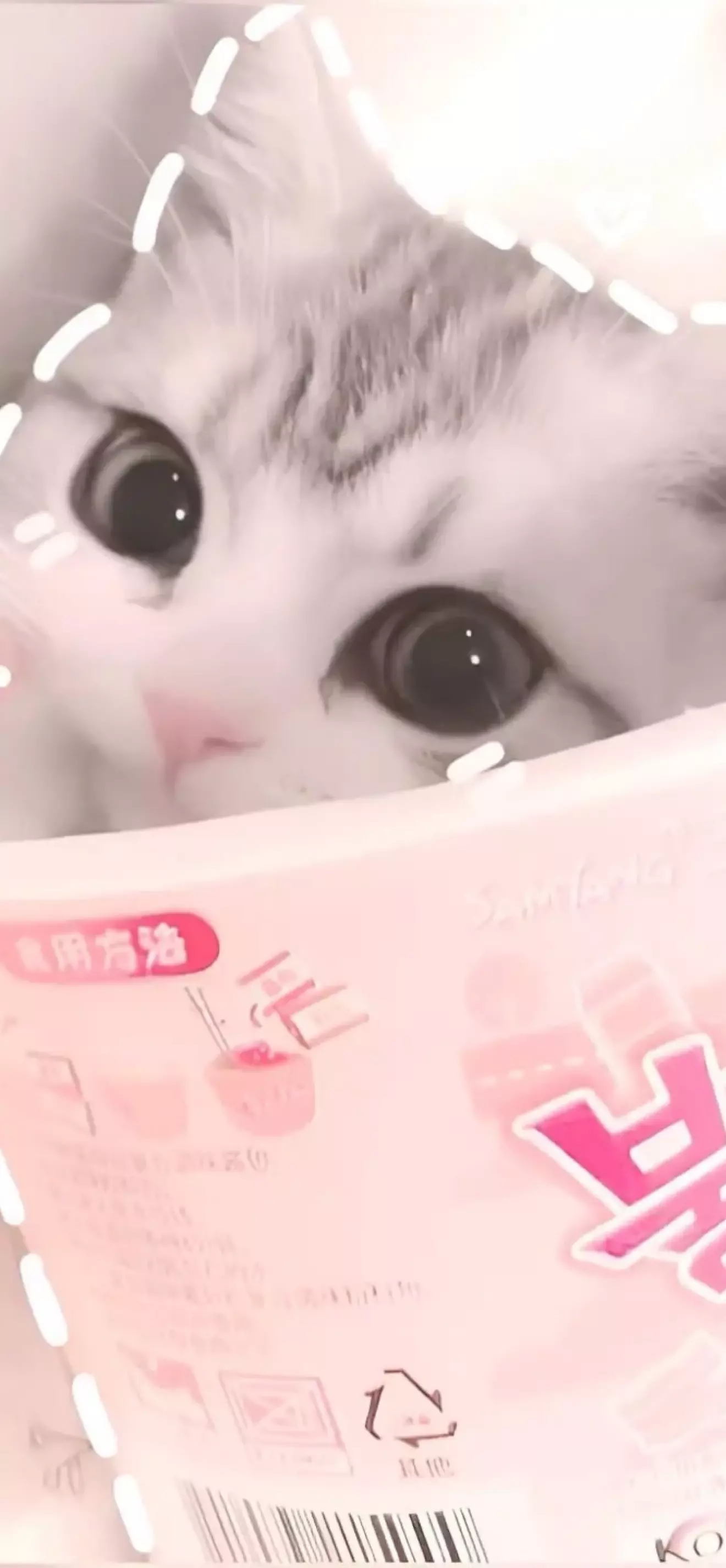 อีวาน
