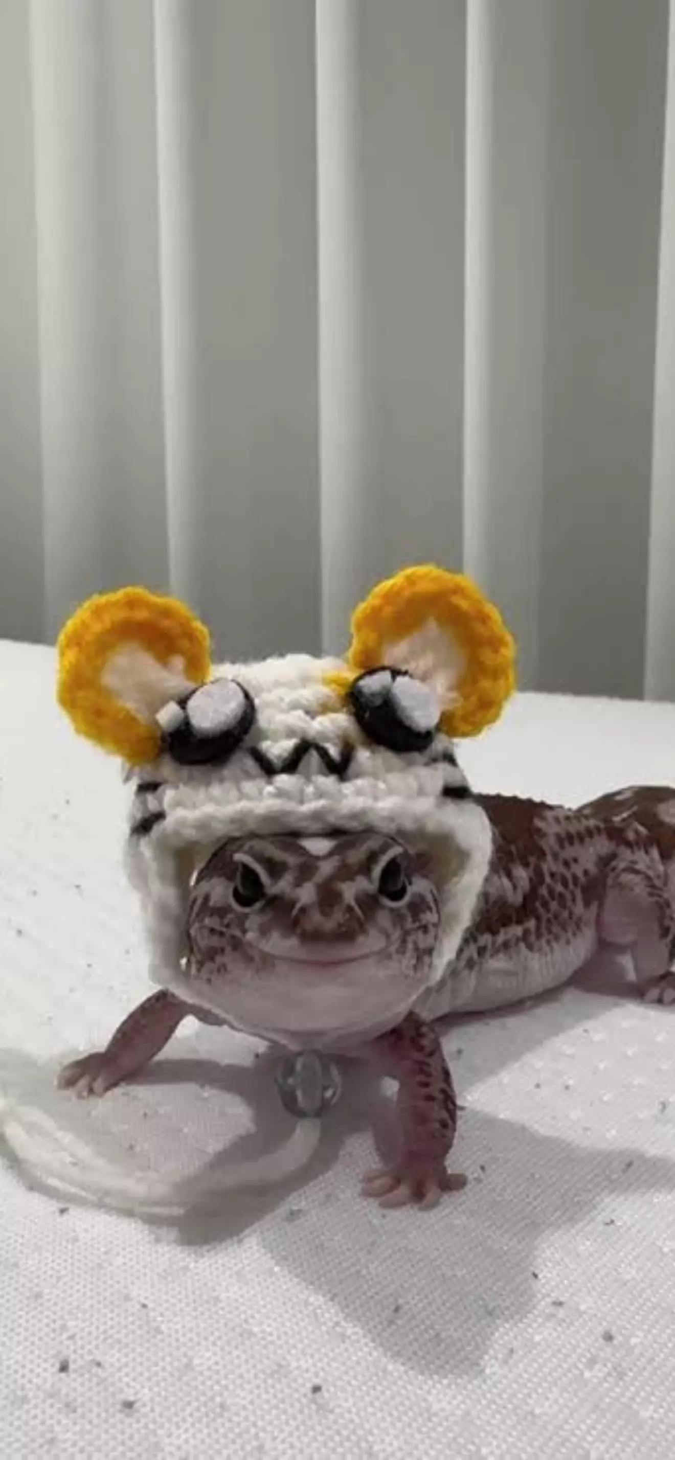 ฉัน