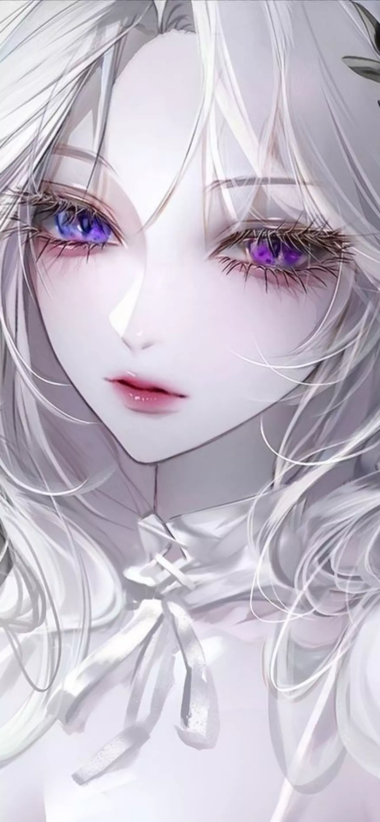 อิซาเบลร่า